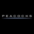 Peacocks - Baby Girls Tops