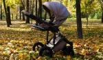 Pushchair Travel Systems By Brand